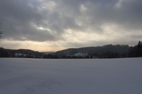 Deštné v Orlických horách, 18.1.2021
Plasnice, Na Úhoru - pohled na Chřiby.
Keywords: Orlické hory Deštné v Orlických horách Plasnice Na Úhoru Chřiby