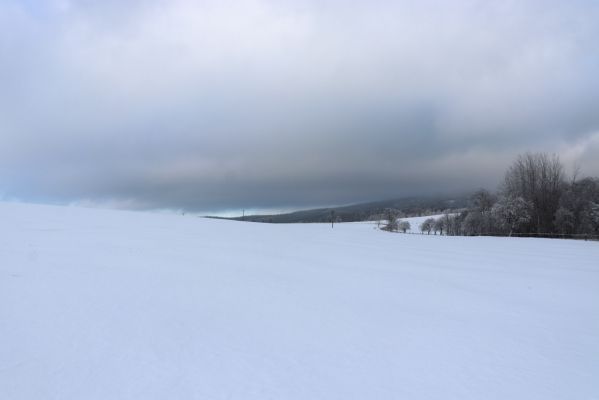 Deštné v Orlických horách, 18.1.2021
Pohled od Plasnice na cestu k Sedloňovu.
Klíčová slova: Orlické hory Deštné v Orlických horách Plasnice