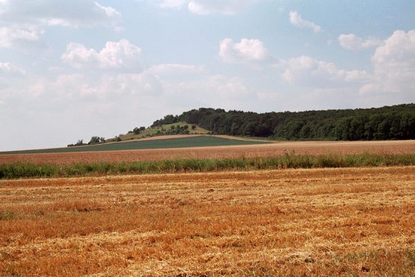 Dobšice, 4.8.2004
Pohled na Oškobrh.
Klíčová slova: Dobšice vrch Oškobrh