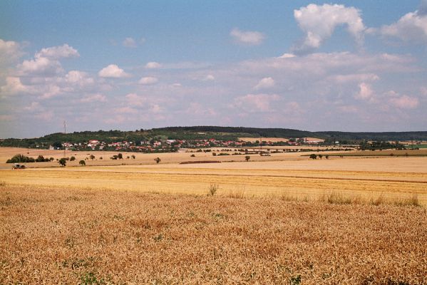 Dobšice, 4.8.2004
Pohled na Hradčany a Báň.
Keywords: Dobšice Hradčany Báň Agriotes gallicus