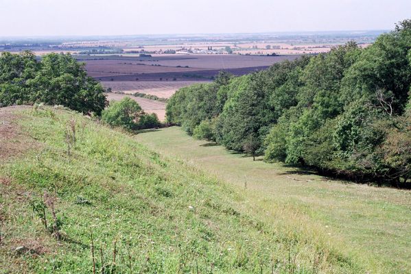 Opolany, 4.8.2004
Vrch Oškobrh.



Mots-clés: Opolany vrch Oškobrh Agriotes gallicus