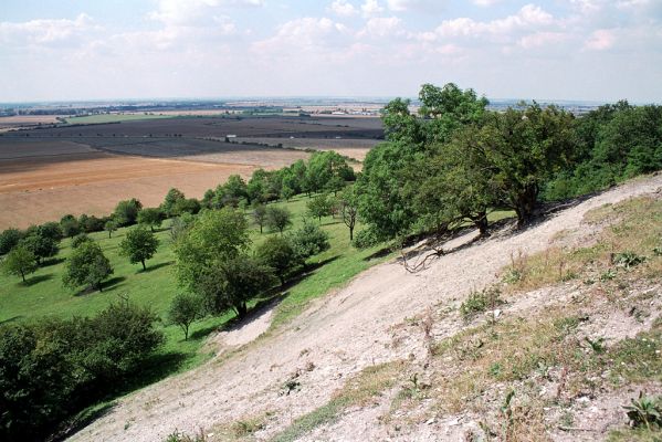 Opolany, 4.8.2004
Vrch Oškobrh.
Schlüsselwörter: Opolany vrch Oškobrh