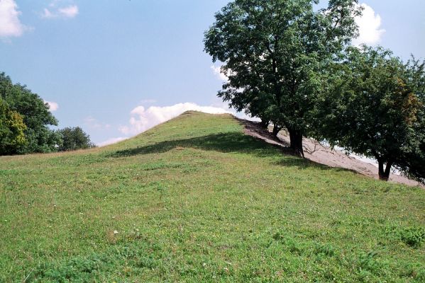 Opolany, 4.8.2004
Vrch Oškobrh.

Mots-clés: Opolany vrch Oškobrh Agriotes gallicus