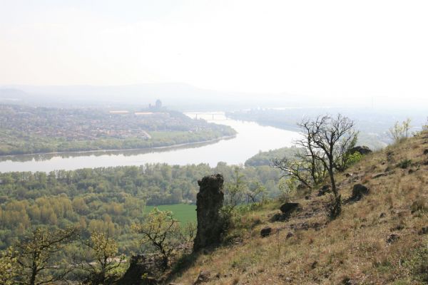 Kamenica nad Hronom, 7.4.2014
Pohled ze skalních stepí Kováčovských kopců na Ostřihom.
Keywords: Kamenica nad Hronom Ostřihom Štúrovo Kováčovské kopce Cardiophorus erichsoni discicollis