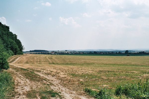 Ostřetín, 11.7.2006
Návštěva Laibnerovy lokality na kovaříka Agriotes gallicus byla neúspěšná - biotop byl rekultivován. Pohled od zemědělského družstva na obec Litětiny. V pozadí Trstěnická tabule.
Mots-clés: Ostřetín Litětiny Trstěnická tabule Agriotes gallicus