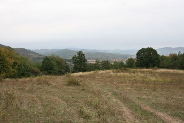 Padarovce, 29.9.2012
Pastevní les pod Panským lesem.


Klíčová slova: Padarovce pastevní les Panský les