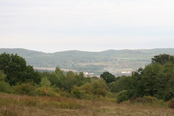 Padarovce, 29.9.2012
Pastevní les pod Panským lesem. Pohled na Teplý Vrch a Čiernu oboru. 



Klíčová slova: Padarovce pastevní les Panský les Čierna obora Teplý Vrch