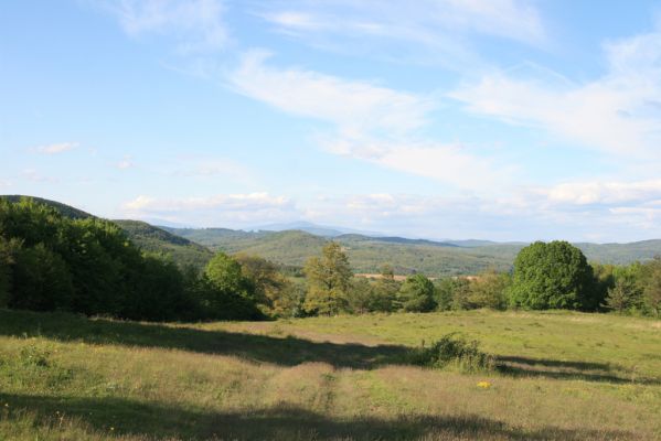 Padarovce, 7.5.2016
Pastevní les pod Panským lesem.
Keywords: Padarovce Panský les pastevní les