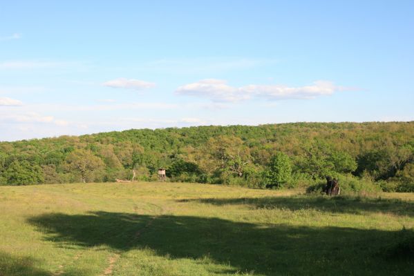 Padarovce, 7.5.2016
Pastevní les pod Panským lesem.
Klíčová slova: Padarovce Panský les pastevní les