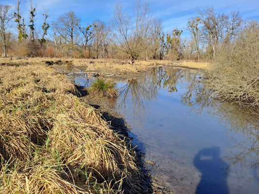 Nové Mlýny, 10.2.2024
Křivé jezero.
Klíčová slova: Přítluky Nové Mlýny Křivé jezero