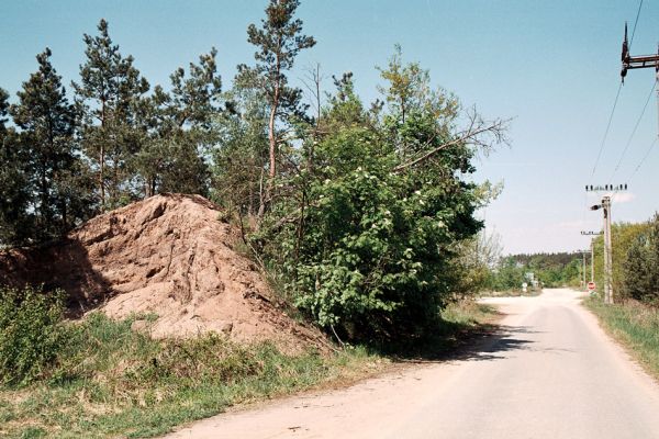 Pamětník, 11.5.2006
Cesta podél východního okraje pískovny Dolní Flajšar. 
Schlüsselwörter: Pamětník Horní Flajšar Cardiophorus nigerrimus Pheletes aeneoniger