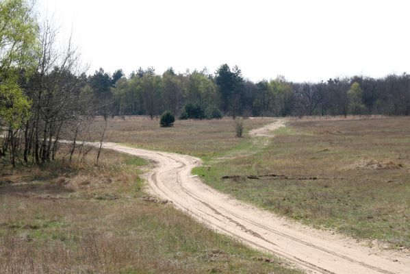 Hodonín, Pánov, 18.4.2012
Vojenské cvičiště.
Schlüsselwörter: Hodonín Pánov vojenské cvičiště