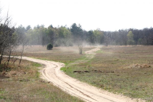 Hodonín, Pánov, 18.4.2012
Vojenské cvičiště. Oblak prachu zvířený motocykly.
Klíčová slova: Hodonín Pánov vojenské cvičiště