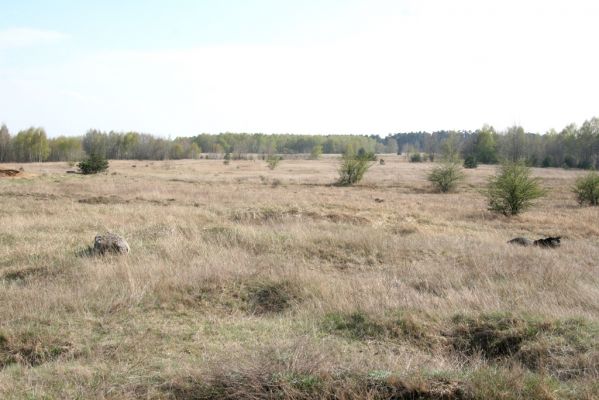 Hodonín, Pánov, 18.4.2012
Vojenské cvičiště.
Klíčová slova: Hodonín Pánov vojenské cvičiště