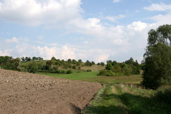 Hřibiny - Paseky, 11.9.2008
Pohled na Paseky od západu. Na jižních svazích se rozkládá sad se stepní vegetací.
Mots-clés: Hřibiny Paseky step sad