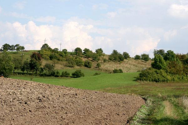 Hřibiny - Paseky, 11.9.2008
Pohled na Paseky od západu. Na jižních svazích se rozkládá sad se stepní vegetací.
Mots-clés: Hřibiny Paseky step sad