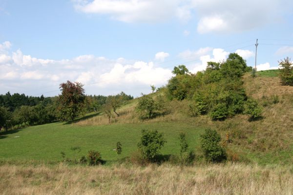 Hřibiny - Paseky, 11.9.2008
Pohled na západní část sadu. 
Klíčová slova: Hřibiny Paseky step sad