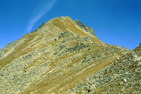 Vysoké Tatry, 12.10.1995
Vrchol Patrie z jihu.




Klíčová slova: Vysoké Tatry Patria Selatosomus confluens rugosus