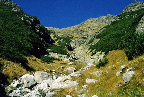 Vysoké Tatry, 12.10.1995
Výstup na Patrii od Popradského plesa.
Schlüsselwörter: Vysoké Tatry Patria