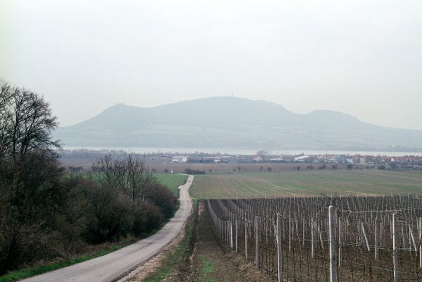 Strachotín, 1.4.2004
Pohled od Popic na Pavlovské vrchy.
Schlüsselwörter: Strachotín Pavlovské vrchy Pálava