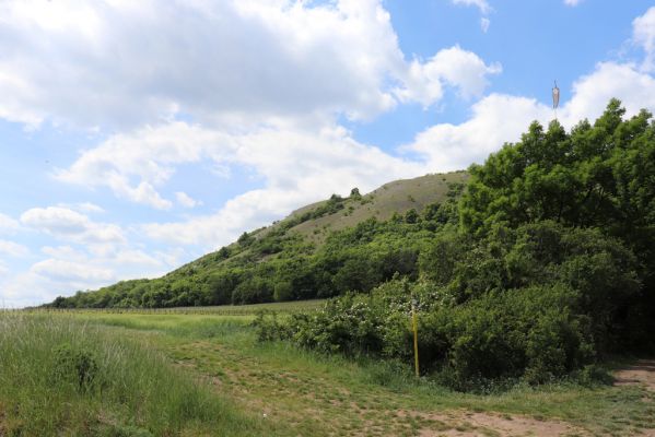 Pavlov, 21.5.2020
Pohled na step pod Děvínem.
Schlüsselwörter: Pavlovské vrchy Pavlov vrch Děvín