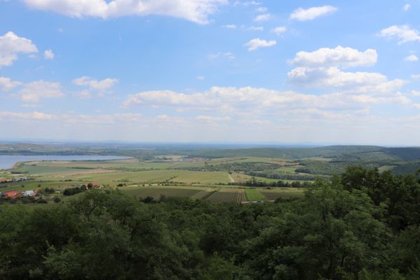 Pavlov, 21.5.2020
Děvín, pohled na Novomlýnské nádrže a Milovice.
Mots-clés: Pavlovské vrchy Pavlov Novomlýnské nádrže Milovice