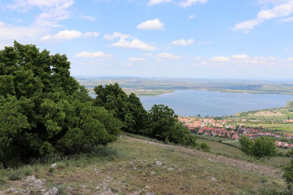 Pavlov, 21.5.2020
Pohled z Děvína na Pavlov a Novomlýnské nádrže.
Schlüsselwörter: Pavlovské vrchy Pavlov vrch Děvín Idolus picipennis Dicronychus testaceus