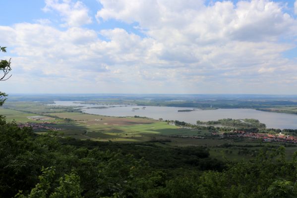 Pavlov, 21.5.2020
Pohled z Děvína na Novomlýnské nádrže.
Mots-clés: Pavlovské vrchy Pavlov vrch Děvín Novomlýnské nádrže