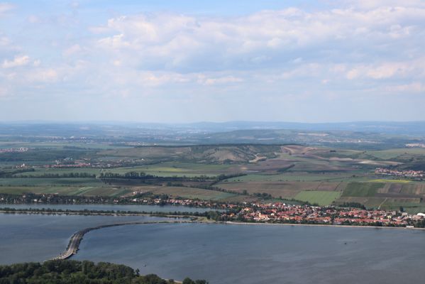 Pavlov, 21.5.2020
Severovýchodní hřbet vrchu Děvín - pohled na Novomlýnské nádrže a Pouzdřany.
Mots-clés: Pavlovské vrchy Pavlov vrch Děvín Novomlýnské nádrže Pouzdřany