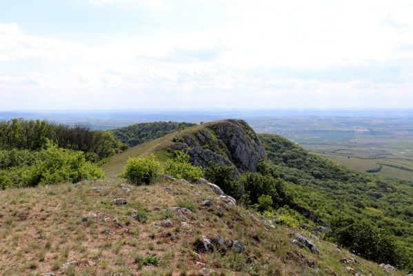 Pavlov, 21.5.2020
Pohled z vrchu Děvín na jih.
Klíčová slova: Pavlovské vrchy Pavlov vrch Děvín