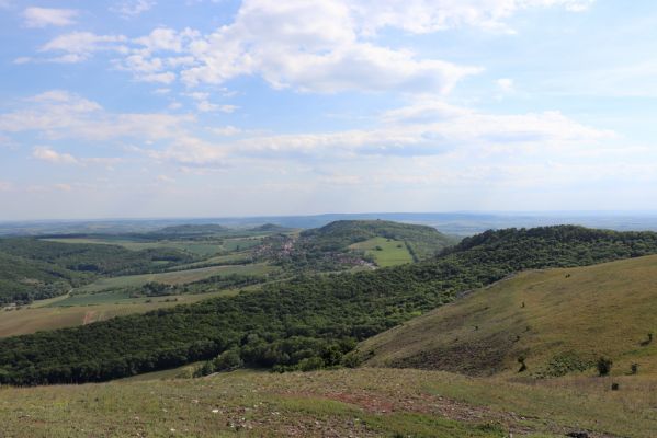 Pavlov, 21.5.2020
Pohled z Děvína na jih.
Klíčová slova: Pavlovské vrchy Pavlov vrch Děvín Melanotus brunnipes punctolineatus