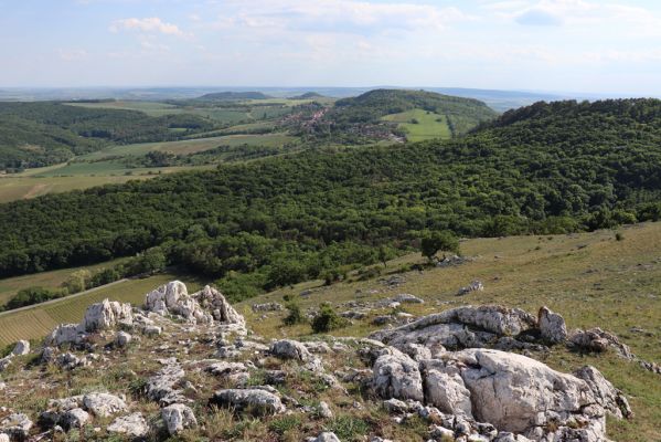 Pavlov, 21.5.2020
Pohled z jižního svahu Děvína na Stolovou horu.
Keywords: Pavlovské vrchy Pavlov vrch Děvín Stolová hora Melanotus brunnipes