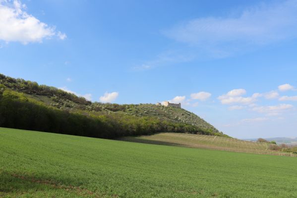 Pavlov, 30.4.2021
Pavlov - pod Děvínem. Pohled na zříceninu hradu Děvičky.
Schlüsselwörter: Pavlovské vrchy Pavlov Děvín Děvičky