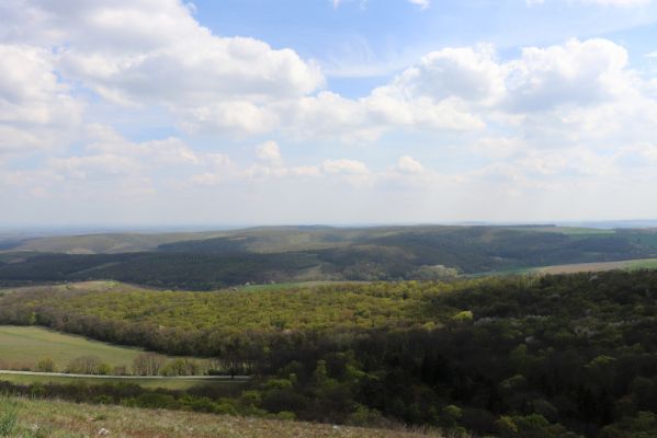 Pavlov, 30.4.2021
Děvín - jihovýchodní svah. Pohled na obory Klentnici a Bulhary.
Keywords: Pavlovské vrchy Pavlov Děvín Klentnice Bulhary