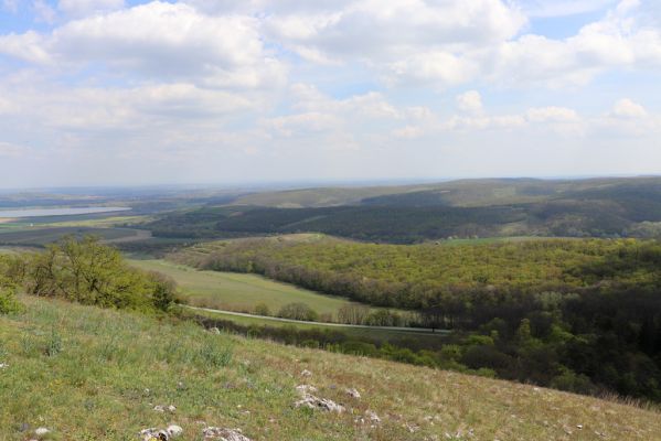 Pavlov, 30.4.2021
Děvín - jihovýchodní svah. Pohled na obory Klentnici a Bulhary.
Schlüsselwörter: Pavlovské vrchy Pavlov Soutěska Klentnice Bulhary