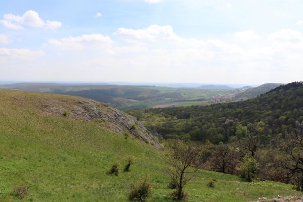 Pavlov, 30.4.2021
Děvín nad Soutěskou. Pohled na Klentnici.
Schlüsselwörter: Pavlovské vrchy Pavlov Děvín Soutěska Klentnice