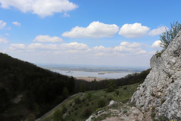 Pavlov, 30.4.2021
Děvín nad Soutěskou. Pohled na vodní nádrž Nové Mlýny.
Klíčová slova: Pavlovské vrchy Pavlov Děvín Soutěska Nové Mlýny