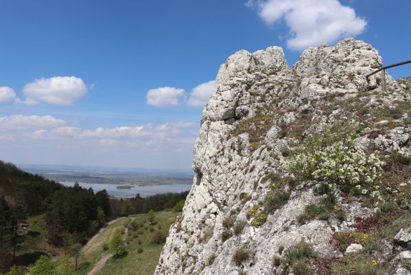 Pavlov, 30.4.2021
Děvín nad Soutěskou - Strážce.
Schlüsselwörter: Pavlovské vrchy Pavlov Děvín Soutěska Strážce