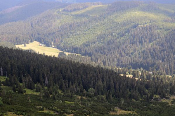 Pec pod Sněžkou, 12.8.2020
Pohled od Modrého sedla na pastviny v Modrém Dole.
Klíčová slova: Pec pod Sněžkou Krkonoše Modrý Důl pastvina