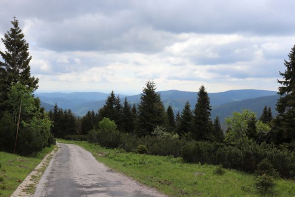 Pec pod Sněžkou, 16.6.2020
Čertovy schody pod Výrovkou. Pohled na Černou horu.
Klíčová slova: Pec pod Sněžkou Krkonoše Výrovka Čertovy schody Černá hora