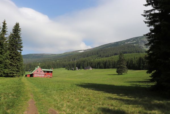Pec pod Sněžkou, 21.6.2021
Modrý Důl.
Schlüsselwörter: Krkonoše Pec pod Sněžkou Modrý důl