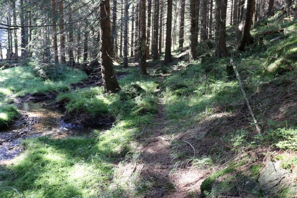 Pec pod Sněžkou, 21.8.2020
Krkonoše, Obří důl. Úpa poblíž kaple v Obřím dole.
Klíčová slova: Pec pod Sněžkou Krkonoše Obří důl Úpa