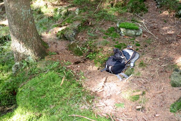 Pec pod Sněžkou, 21.8.2020
Krkonoše, Obří důl. Břeh Úpy poblíž kaple v Obřím dole.
Klíčová slova: Pec pod Sněžkou Krkonoše Obří důl Úpa Parammoecius corvinus