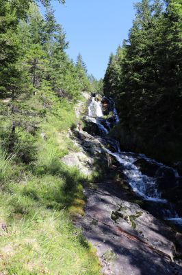 Pec pod Sněžkou, 21.8.2020
Krkonoše, Obří důl. Dolní Úpský vodopád. 
Klíčová slova: Pec pod Sněžkou Krkonoše Obří důl Dolní Úpský vodopád