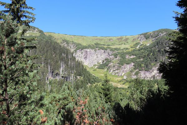 Pec pod Sněžkou, 21.8.2020
Krkonoše, Obří důl, Úpská jáma. Pohled na Úpskou rokli.
Klíčová slova: Pec pod Sněžkou Krkonoše Obří důl Úpská jáma Úpská rokle