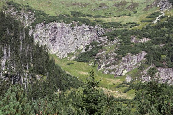 Pec pod Sněžkou, 21.8.2020
Krkonoše, Obří důl, Úpská jáma. Pohled na Úpskou rokli.
Klíčová slova: Pec pod Sněžkou Krkonoše Obří důl Úpská jáma Úpská rokle