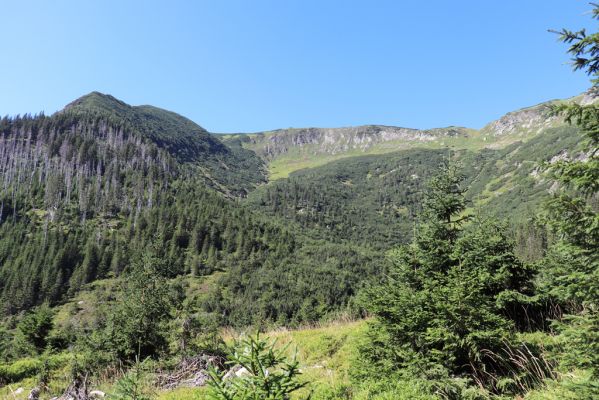 Pec pod Sněžkou, 21.8.2020
Krkonoše, Obří důl, Úpská jáma. Pohled na Krakonošovu zahrádku.
Schlüsselwörter: Pec pod Sněžkou Krkonoše Obří důl Úpská jáma Krakonošova zahrádka