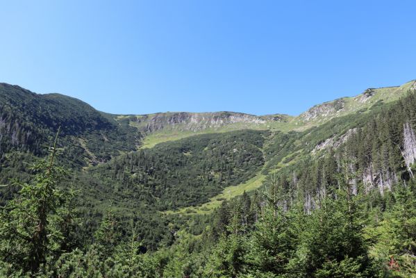 Pec pod Sněžkou, 21.8.2020
Krkonoše, Obří důl, Úpská jáma. Pohled na Krakonošovu zahrádku.
Klíčová slova: Pec pod Sněžkou Krkonoše Obří důl Úpská jáma Krakonošova zahrádka
