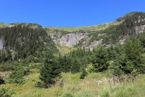 Pec pod Sněžkou, 21.8.2020
Krkonoše, Obří důl, Úpská jáma. Pohled na Úpskou rokli.
Klíčová slova: Pec pod Sněžkou Krkonoše Obří důl Úpská jáma Úpská rokle