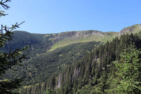 Pec pod Sněžkou, 21.8.2020
Krkonoše, Obří důl, Úpská jáma. Pohled na Krakonošovu zahrádku.
Klíčová slova: Pec pod Sněžkou Krkonoše Obří důl Úpská jáma Krakonošova zahrádka